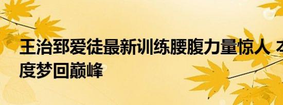 王治郅爱徒最新训练腰腹力量惊人 本赛季一度梦回巅峰