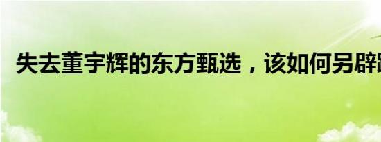 失去董宇辉的东方甄选，该如何另辟蹊径？