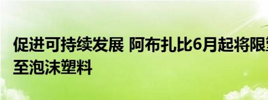 促进可持续发展 阿布扎比6月起将限塑令扩大至泡沫塑料