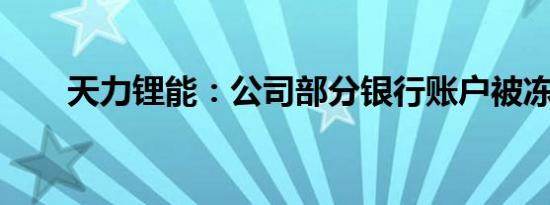 天力锂能：公司部分银行账户被冻结