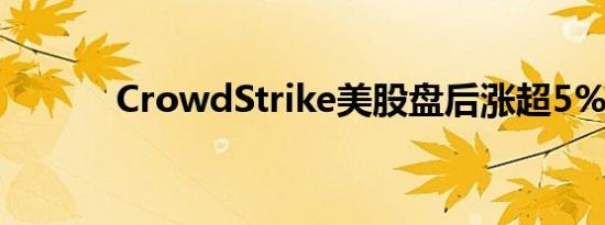 CrowdStrike美股盘后涨超5%