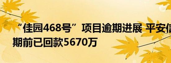 “佳园468号”项目逾期进展 平安信托称逾期前已回款5670万