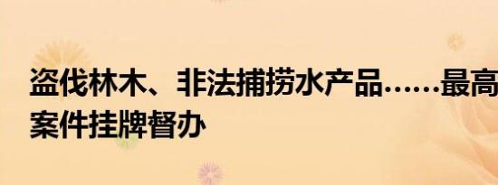 盗伐林木、非法捕捞水产品……最高检对3起案件挂牌督办