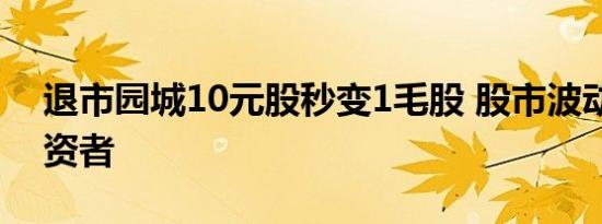 退市园城10元股秒变1毛股 股市波动警示投资者