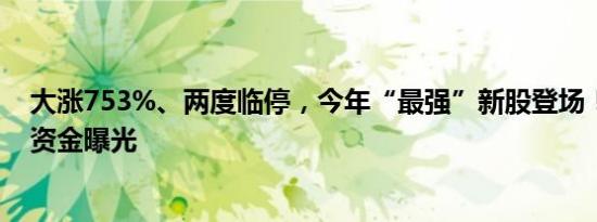 大涨753%、两度临停，今年“最强”新股登场！背后主导资金曝光