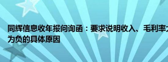 同辉信息收年报问询函：要求说明收入、毛利率大幅下滑且为负的具体原因