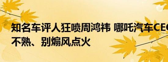 知名车评人狂喷周鸿祎 哪吒汽车CEO：和你不熟、别煽风点火