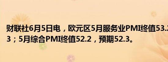 财联社6月5日电，欧元区5月服务业PMI终值53.2，预期53.3；5月综合PMI终值52.2，预期52.3。