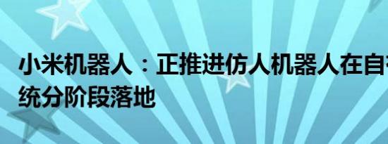 小米机器人：正推进仿人机器人在自有制造系统分阶段落地