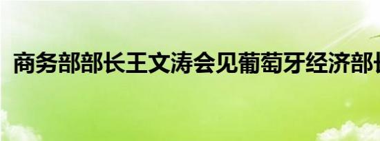 商务部部长王文涛会见葡萄牙经济部长雷斯