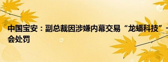 中国宝安：副总裁因涉嫌内幕交易“龙蟠科技”一案被证监会处罚