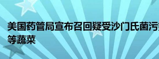 美国药管局宣布召回疑受沙门氏菌污染的黄瓜等蔬菜