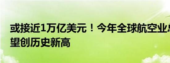 或接近1万亿美元！今年全球航空业总收入有望创历史新高