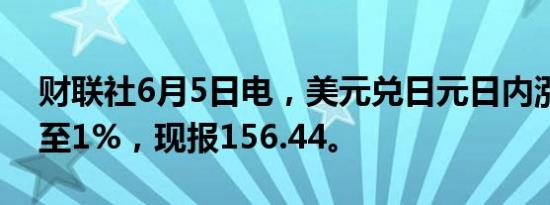 财联社6月5日电，美元兑日元日内涨幅扩大至1%，现报156.44。