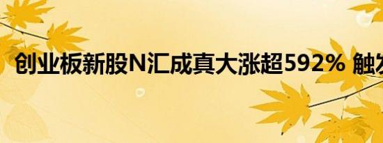 创业板新股N汇成真大涨超592% 触发临停