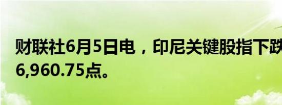 财联社6月5日电，印尼关键股指下跌2%，至6,960.75点。