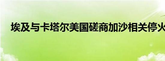 埃及与卡塔尔美国磋商加沙相关停火协议