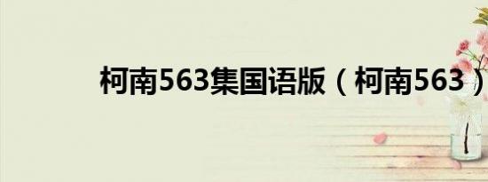 中国汽车工程学会张进华：重点推进重型商用车氢能燃料电池应用