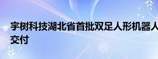 宇树科技湖北省首批双足人形机器人H1成功交付