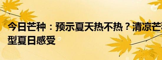 今日芒种：预示夏天热不热？清凉芒种，非典型夏日感受