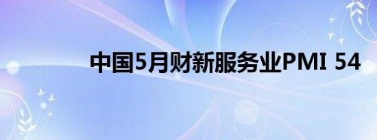 中国5月财新服务业PMI 54