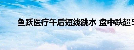 鱼跃医疗午后短线跳水 盘中跌超5%