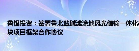 鲁银投资：签署鲁北盐碱滩涂地风光储输一体化基地W5地块项目框架合作协议