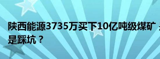 陕西能源3735万买下10亿吨级煤矿 是捡漏还是踩坑？