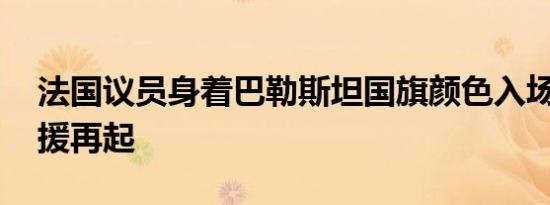 法国议员身着巴勒斯坦国旗颜色入场 抗议声援再起