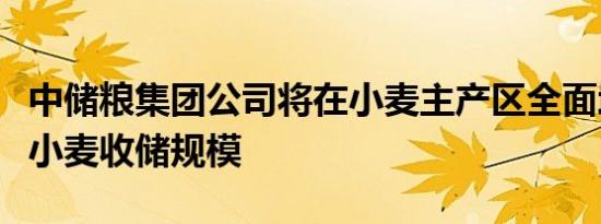 中储粮集团公司将在小麦主产区全面增加新产小麦收储规模