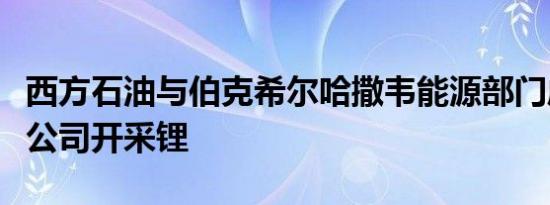 西方石油与伯克希尔哈撒韦能源部门成立合资公司开采锂