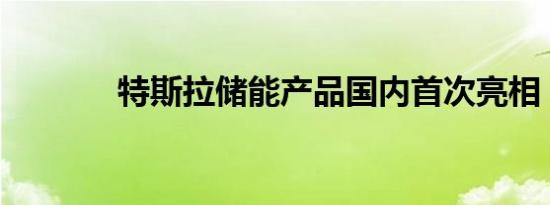 特斯拉储能产品国内首次亮相