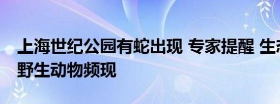 上海世纪公园有蛇出现 专家提醒 生态好转引野生动物频现