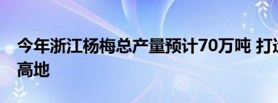 今年浙江杨梅总产量预计70万吨 打造产业新高地