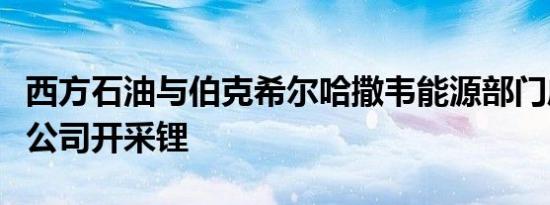 西方石油与伯克希尔哈撒韦能源部门成立合资公司开采锂