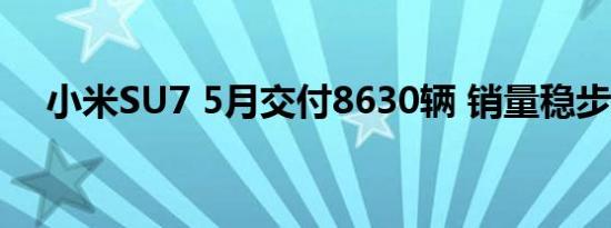 小米SU7 5月交付8630辆 销量稳步增长