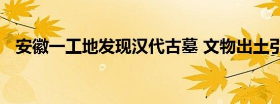 安徽一工地发现汉代古墓 文物出土引轰动