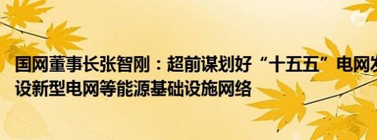 国网董事长张智刚：超前谋划好“十五五”电网发展 加快建设新型电网等能源基础设施网络