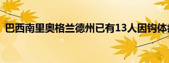 巴西南里奥格兰德州已有13人因钩体病死亡