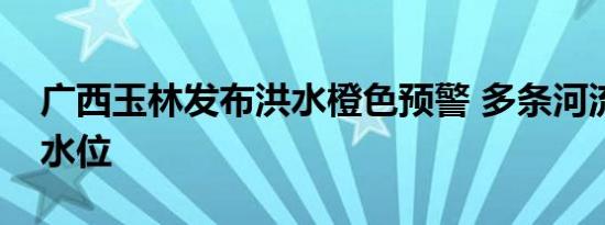 广西玉林发布洪水橙色预警 多条河流超警戒水位