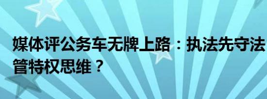 媒体评公务车无牌上路：执法先守法，谁来监管特权思维？