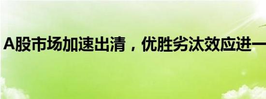 A股市场加速出清，优胜劣汰效应进一步显现