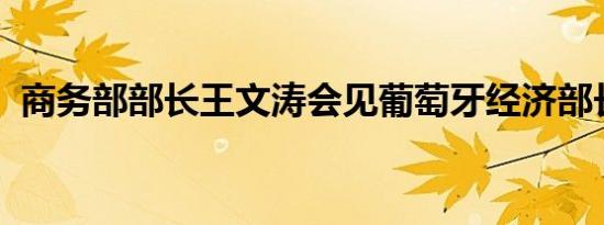 商务部部长王文涛会见葡萄牙经济部长雷斯