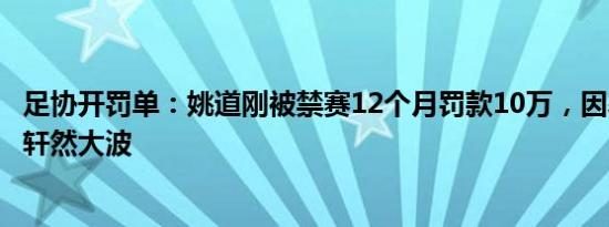 足协开罚单：姚道刚被禁赛12个月罚款10万，因暴力行为引轩然大波