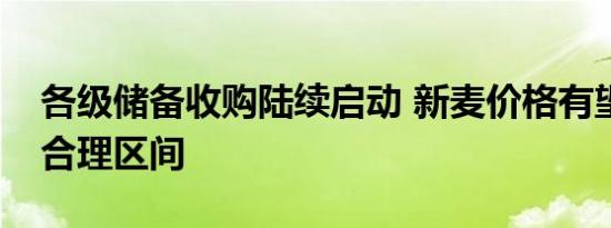 各级储备收购陆续启动 新麦价格有望稳定在合理区间