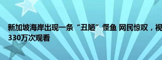 新加坡海岸出现一条“丑陋”怪鱼 网民惊叹，视频疯传破5330万次观看