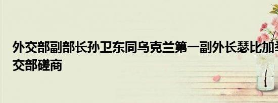 外交部副部长孙卫东同乌克兰第一副外长瑟比加举行中乌外交部磋商