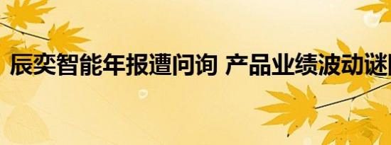 辰奕智能年报遭问询 产品业绩波动谜团待解