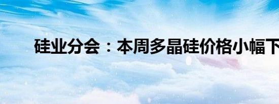 硅业分会：本周多晶硅价格小幅下跌