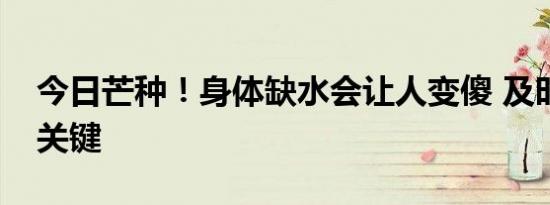 今日芒种！身体缺水会让人变傻 及时补水最关键